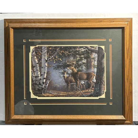 James A Meger Signed- Whitetail Deer- Custom Double Matt Framed Print signed - Picture 2 of 5